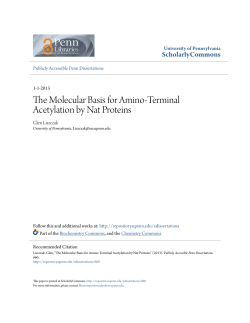 The Molecular Basis for Amino-Terminal Acetylation by Nat Proteins