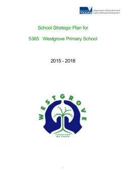 School Strategic Plan 2014