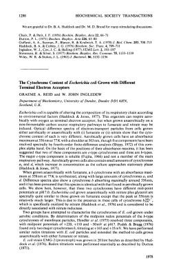 The Cytochrome Content of Escherichia coli Grown with Different