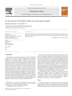 On the sources of the black&ndash;white test score gap in Europe