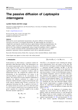 The passive diffusion of Leptospira interrogans - damtp