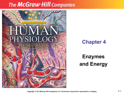 Human Physiology