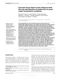 Pyruvate kinase (Pyk1) levels influence both the rate