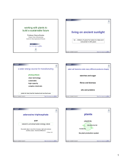 living on ancient sunlight plants