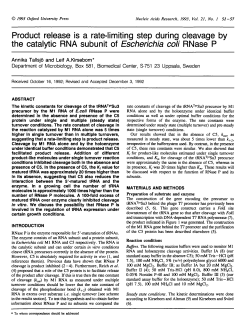 Product release is a rate-limiting step during