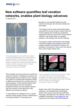 New software quantifies leaf venation networks, enables plant