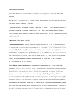 Supplementary Material