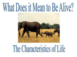 Characteristics of Life