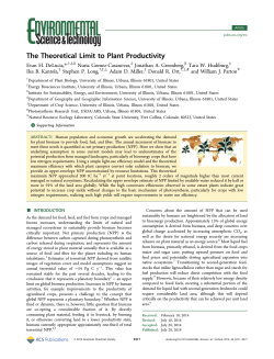 The Theoretical Limit to Plant Productivity