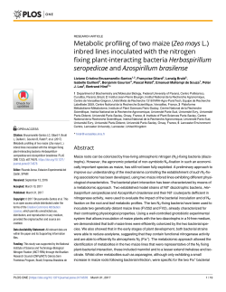 Metabolic profiling of two maize (Zea mays L.) inbred lines