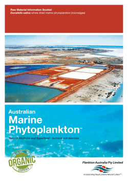 Australian Marine Phytoplankton