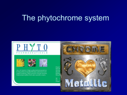 23. Phytochrome System