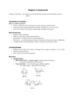 Organic Molecules