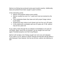 Salmon ice fishing has produced some good results recently