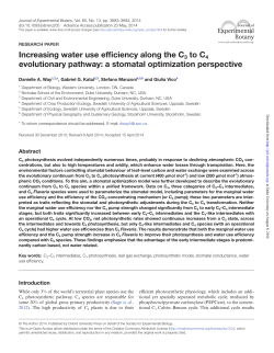 Increasing water use efficiency along the C3 to C4 evolutionary