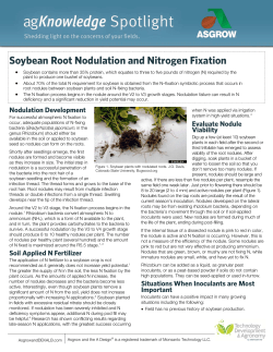 Soybean Root Nodulation and Nitrogen Fixation