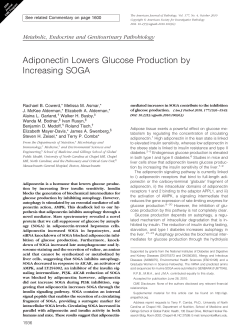Adiponectin Lowers Glucose Production by Increasing SOGA