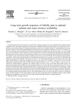 Long term growth responses of loblolly pine to optimal