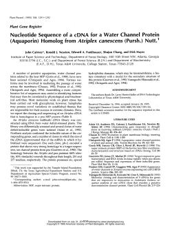 Nucleotide Sequence of a cDNA for a Water Channel Protein