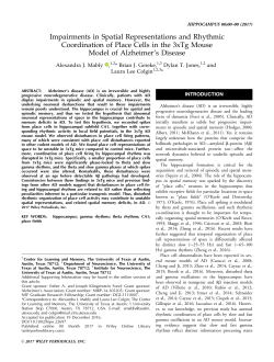 Hippocampus - Department of Neuroscience