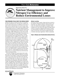 Nutrient Management to Improve Nitrogen Use Efficiency and