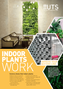 INDOOR PLANTS
