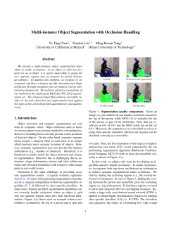 Multi-instance Object Segmentation with Occlusion Handling