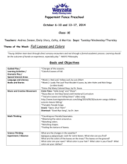 Fall Leaves and Colors