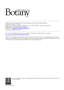 Initiation and Development of Root Nodules of