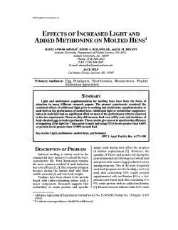 effects of increased light and added methionine on molted hens