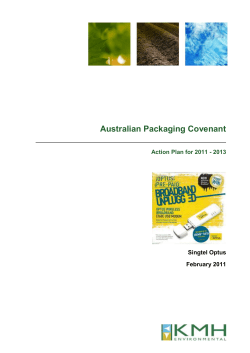 Packaging Action Plan