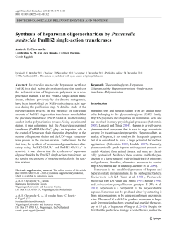 Synthesis of heparosan oligosaccharides by
