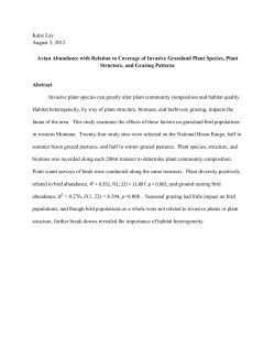 Katie Lay August 3, 2012 Avian Abundance with Relation to