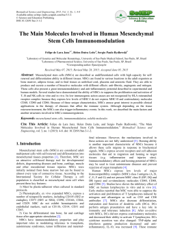 The Main Molecules Involved in Human Mesenchymal Stem Cells