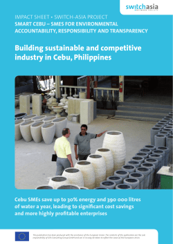 Building sustainable and competitive industry in - SWITCH-Asia
