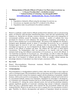 Biodegradation of Phenolic Effluent of Producer Gas Plant using