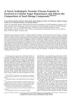 A Novel Arabidopsis Vacuolar Glucose Exporter