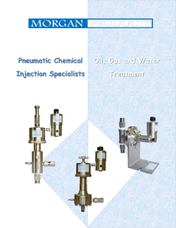 Morgan Chemical Pump Catalog