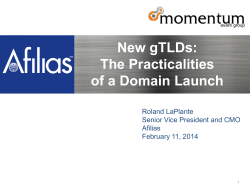 New gTLDs: The Practicalities of a Domain Launch