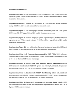 Supplementary Informations (docx 119K)
