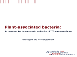 Plant-associated bacteria: