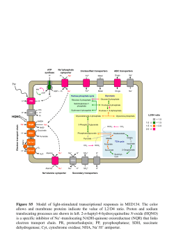 Supplementary Figure S5 (ppt 303K)