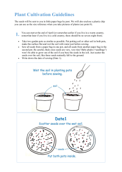 Plant Cultivation Guidelines