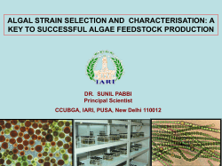 ALGAL STRAIN SELECTION AND CHARACTERISATION: A KEY