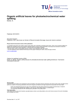 Organic artificial leaves for photoelectrochemical water splitting