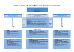 Standards and Excellence &ndash; High Level Strategic Work