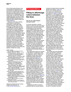 Filling-in afterimage colors between the lines