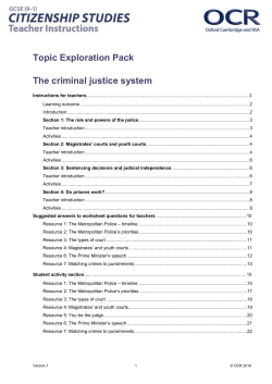 The Criminal Justice System
