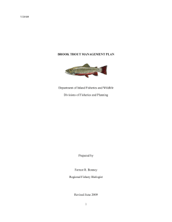 BROOK TROUT MANAGEMENT PLAN