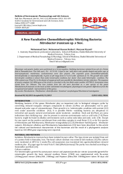 A New Facultative Chemolithotrophic Nitrifying Bacteria: Nitrobacter